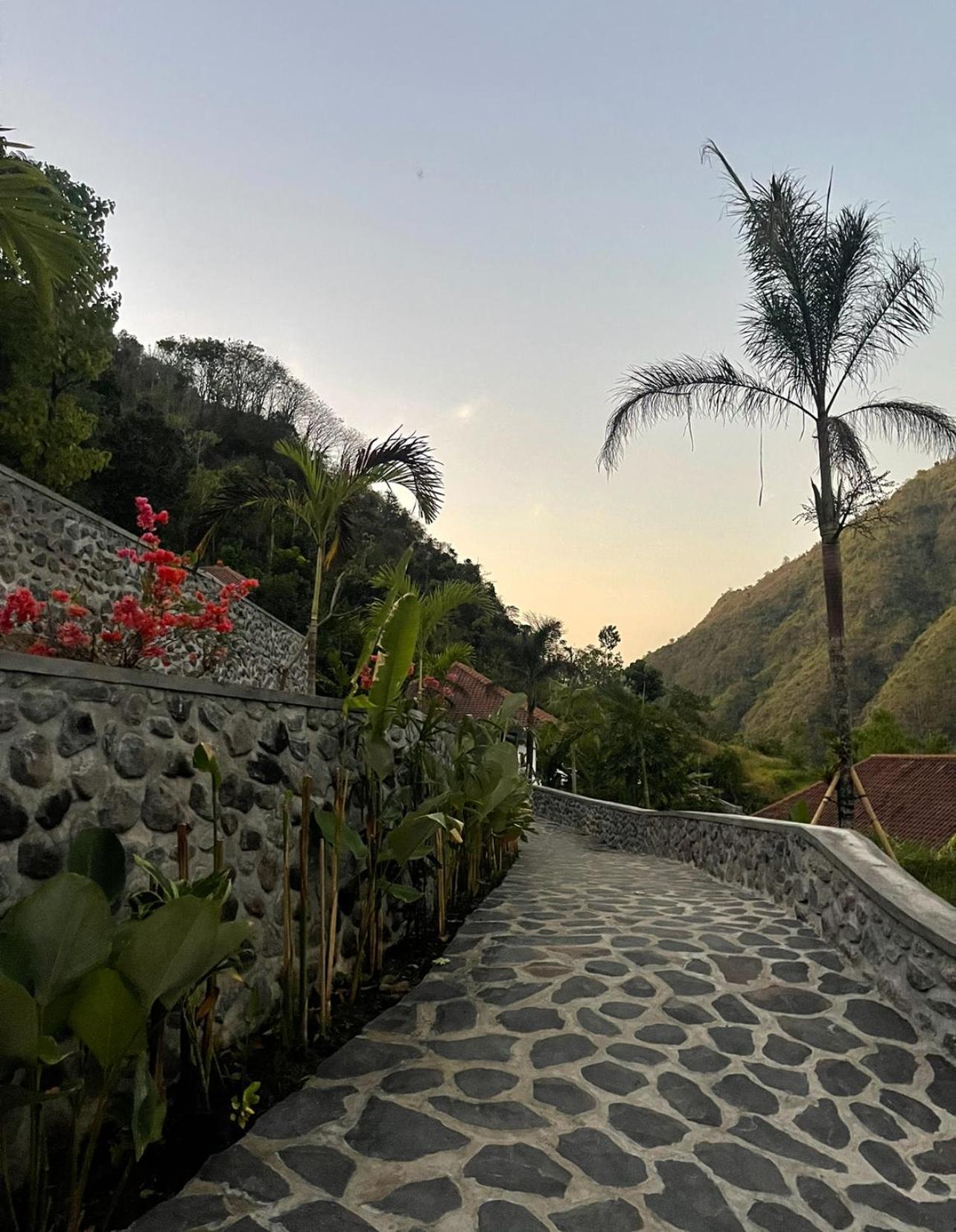 Tropical Habitat Bali Villa Amed  Exterior photo